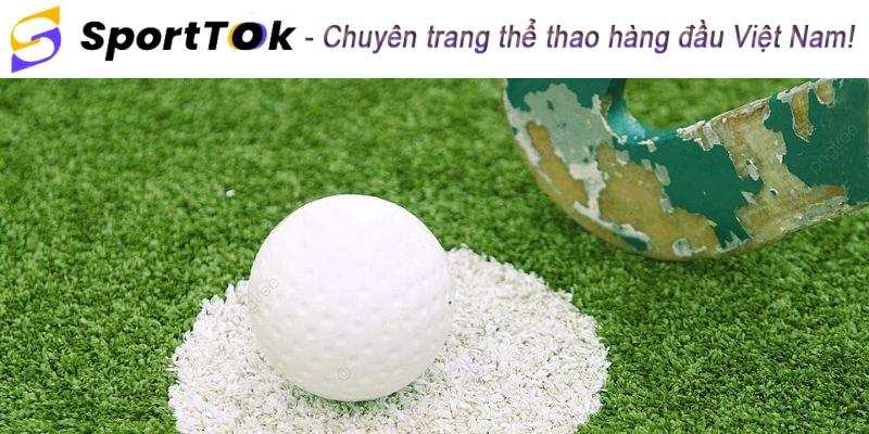 Hướng Dẫn Chơi Cá Cược Khúc Côn Cầu Cho Người Mới