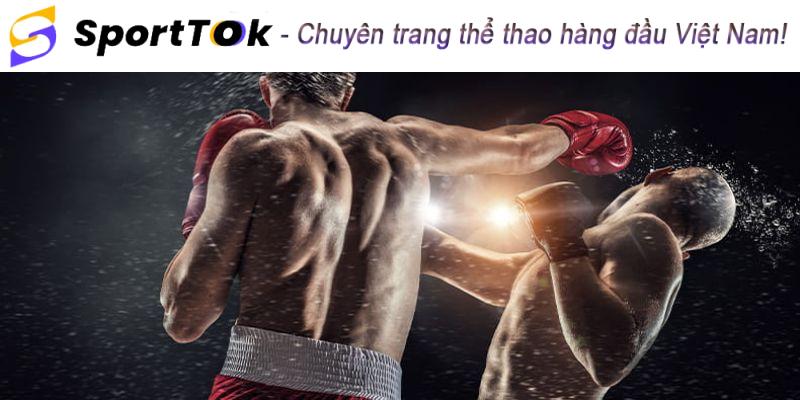 Giới thiệu loại hình cá cược quyền anh