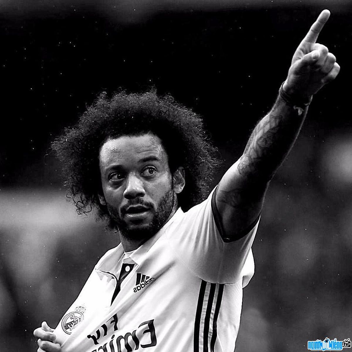 Chân dung Cầu thủ bóng đá Marcelo Vieira